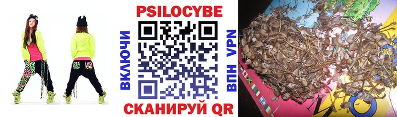 Псилоцибиновые грибы Cubensis Волчанск